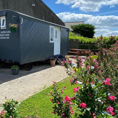 Shepherd'S Hut At Puttocks Farm Villa Great Dunmow Exteriör bild